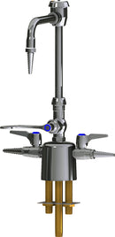 Chicago Faucets LCF1-CC-C2B1 Combination Fixture