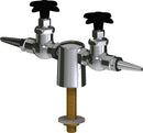 Chicago Faucets LGF1-A12F-25 Helium Laboratory Fine-Control Needle Valve, Deck-Mount