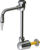 Chicago Faucets LRS-D21 Remote Spout