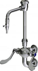 Chicago Faucets LWM6-A33-E Laboratory Mixing Faucet, Wall-Mount