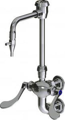 Chicago Faucets LWM6-B33-E Laboratory Mixing Faucet, Wall-Mount