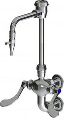 Chicago Faucets LWM6-C33-E Laboratory Mixing Faucet, Wall-Mount