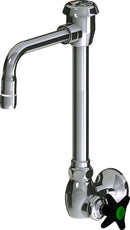 Chicago Faucets LWS4-C23-G Laboratory Faucet, Wall-Mount