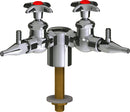 Chicago Faucets LWV1-A32-20 Laboratory Water Valve, Deck-Mount