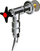 Chicago Faucets LWV2-A54-55 Laboratory Water Valve, Wall-Mount