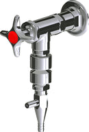 Chicago Faucets LWV2-A62-50 Laboratory Water Valve, Wall-Mount
