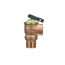 Zurn P100-DOME-GALV Pressure Relief Valve with Manual Purge Lever