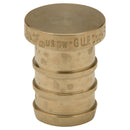 Zurn QQP3GX 1/2" Plug, Brass, Barb