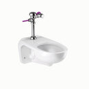 Sloan WETS-2450.1051 Water Closet Combo, ST-2459 Wall-Mounted Top Spud with Royal 111-1.28
