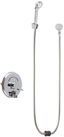 Chicago Faucets SH-PB4-00-060 1/2" Hand Shower, NPT