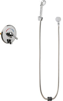 Chicago Faucets SH-TP4-00-020 1/2" Hand Shower, NPT