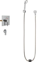 Chicago Faucets SH-TP6-00-020 1/2" Hand Shower, NPT