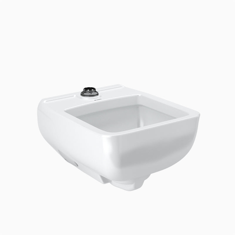 Sloan WESS3200.2001 Service Sink Combo, SS-3200 with Royal 310