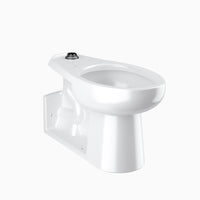 Sloan WETS2220.3001 Water Closet Combo, ST-2229 Floor-Mounted with Royal 111