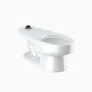 Sloan 23033002 Water Closet Combo, ST-2309 Floor-Mounted with G2 8111