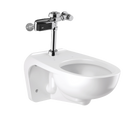 Sloan WETS-2450.1425 Water Closet Combo, ST-2459 Wall-Mounted Top Spud with Royal 111-1.28
