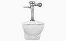 Sloan WETS-2453.1015 Water Closet Combo, ST-2459 Wall-Mounted Top Spud with Regal 111-1.6