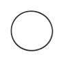 Watts RK 777SI-GASKET 1/2 1/2 IN Gasket for Y-Strainer, 777SI