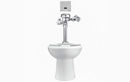 Sloan WETS-2720.1030-STG Water Closet Combo, ST-2029STG Top Spud with Sloan 111-1.28