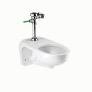 Sloan WETS-2452.1003 Water Closet Combo, ST-2459 Wall-Mounted Top Spud with WES 113