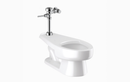 Sloan WETS-2302.2002 Water Closet Combo, ST-2309 Floor-Mounted Top Spud with Royal 111-1.6