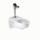 Sloan WETS-2752.1101-STG Water Closet Combo, ST-2459 Wall-Mounted Top Spud with ECOS 8111