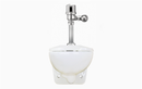 Sloan WETS-2453.1425 Water Closet Combo, ST-2459 Wall-Mounted with Sloan 8111-1.6 (1.6 gpf)