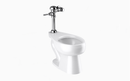 Sloan WETS-2720.1001-STG Water Closet Combo, ST-2029STG Top Spud with Royal 111-1.28