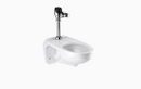 Sloan WETS-2750.3004-STG Water Closet Combo, ST-2459 Wall-Mounted Top Spud with ECOS 8111-1.28