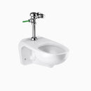 Sloan WETS-2752.1002-STG Water Closet Combo, ST-2459STG Wall-Mounted Top Spud with WES 111