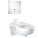 Sloan WETS-2460.1312 Water Closet Combo, ST-2469 Wall-Mounted Rear Spud with Royal 152-1.28