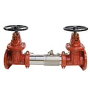 Watts 957Z-DOSY 3 backflow Preventer