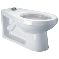 Zurn Z5635-BWL Floor-mounted back outlet Flush Valve Toilet ZurnSHIELD™ glaze