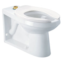 Zurn Z5645-BWL ADA Floor-mounted Back outlet Flush Valve Toilet