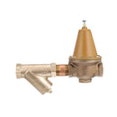 Watts LFN223M2-S-B 2 1/2