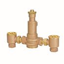 Watts LFN170M3-CSUT 1 1/4