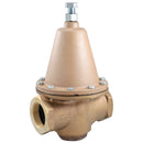 Watts LFN223M2-B-G 2 1/2