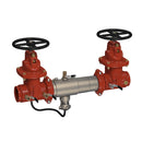 Watts 957-NRS-GXG 2 1/2