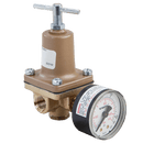 Watts LF263A-G 10-125 1/4