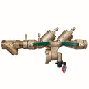 Watts LF919-QT-S-FS 2