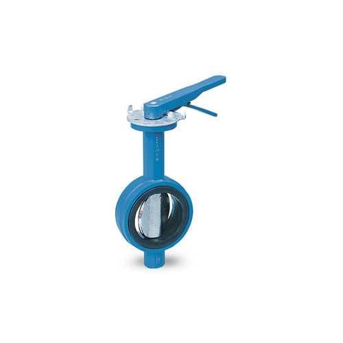 Watts DBF-04-111-15-M2 2 1/2