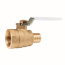 Watts 1/2 LFWPV