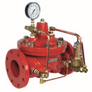 Watts 2-1/2 M116FM 300