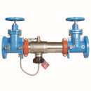 Watts 957-NRS-FS 2 1/2