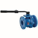 Watts G4000-FDA 2