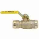 Watts LFFBV-3C-QC 1