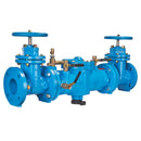 Watts LF009-NRS-FS 2 1/2