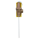Watts LF140X6 150-210 3/4