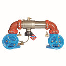 Watts 957N-DNRS-FS 3