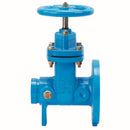Watts 405NRS FLGXGRV 8